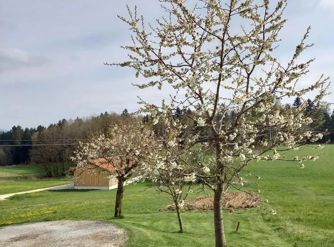 Am Dreiseithof Apartamento Hauzenberg