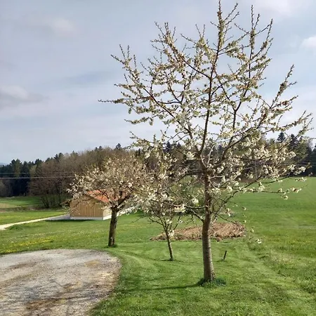 Am Dreiseithof Apartmán Hauzenberg